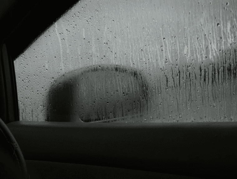 feature image
