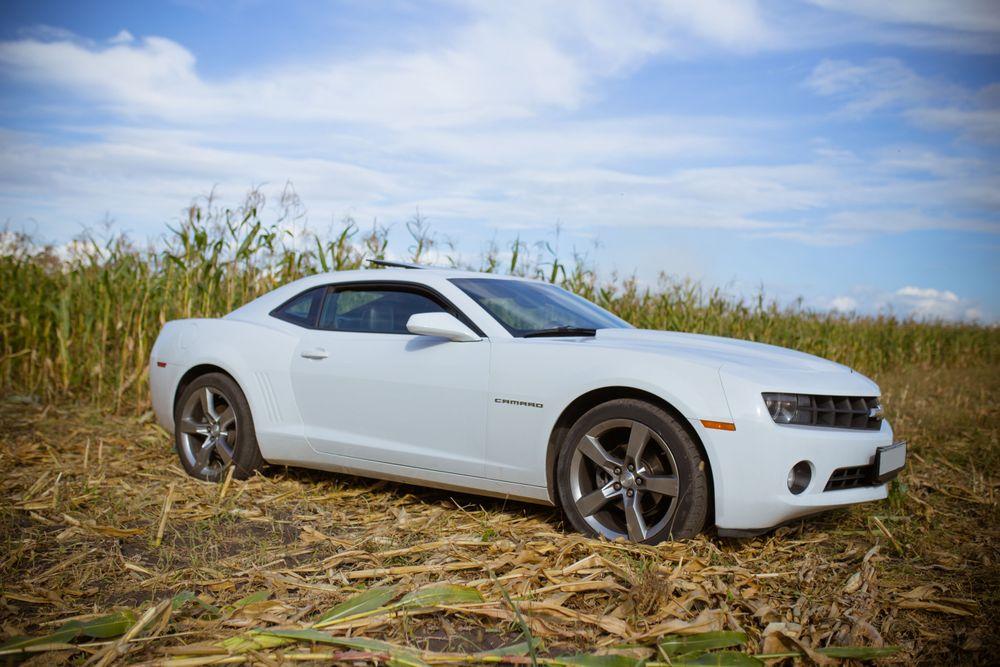 new-project.title-alts.detail.image-gallery.alt