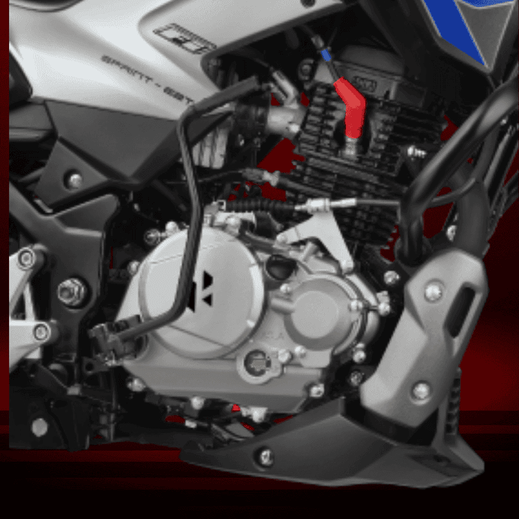 new-project.title-alts.detail.image-gallery.alt