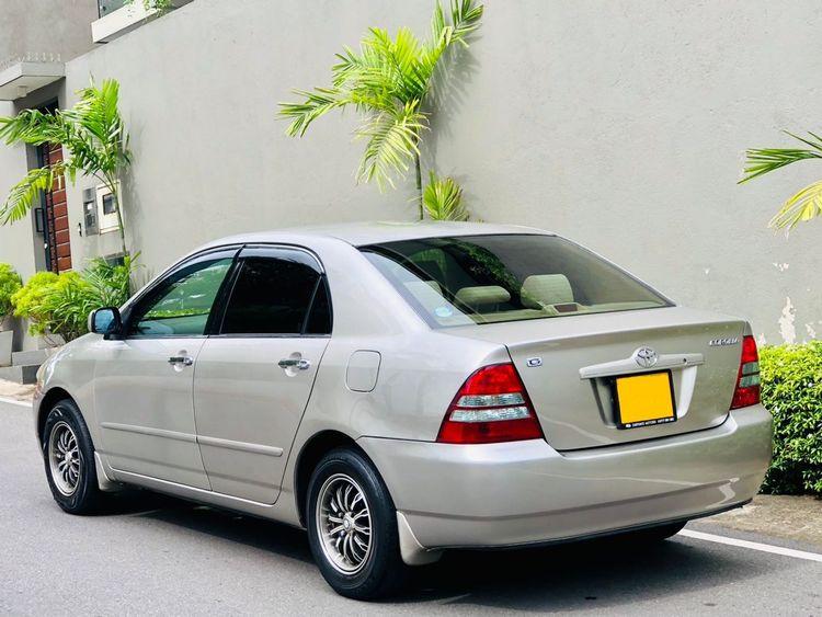 new-project.title-alts.detail.image-gallery.alt