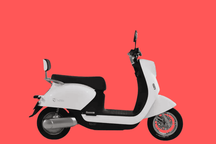 new-project.title-alts.detail.image-gallery.alt