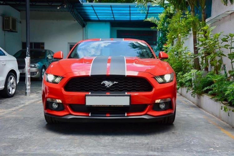 new-project.title-alts.detail.image-gallery.alt