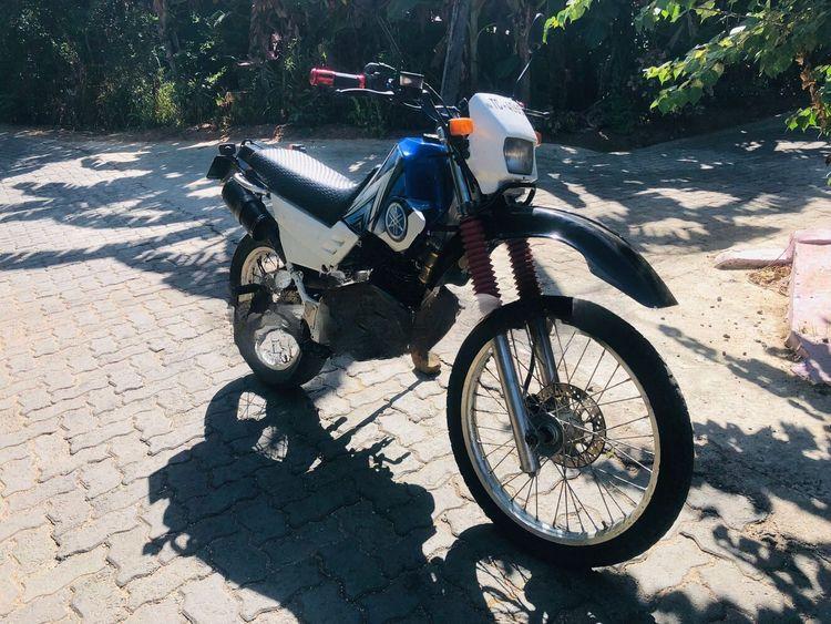 new-project.title-alts.detail.image-gallery.alt