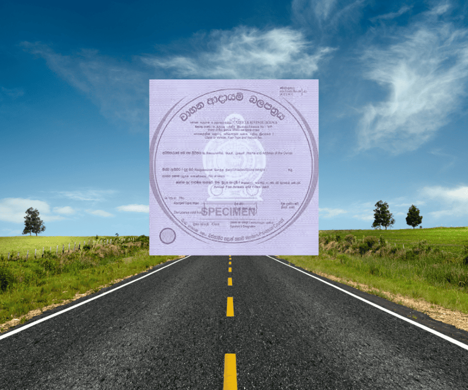 How to Restore a Lost or Damaged Revenue Licence feature image